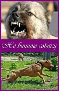 Постер сериала Не вините собаку