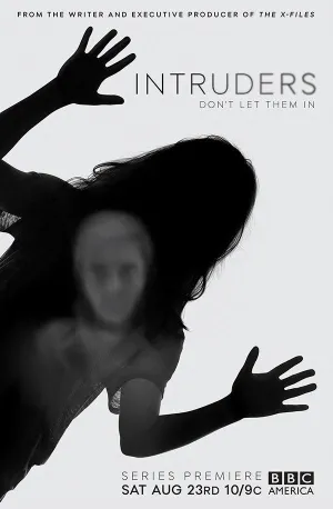 Постер сериала Злоумышленники