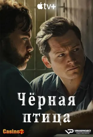 Постер сериала Черная птица