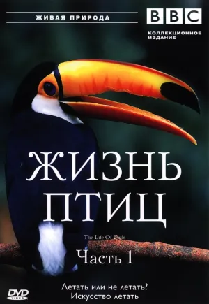 Постер сериала BBC: Жизнь птиц