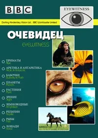 Постер сериала Очевидец
