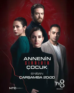 Постер сериала Ребенок — тайна матери
