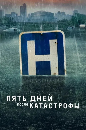 Постер сериала Пять дней после катастрофы
