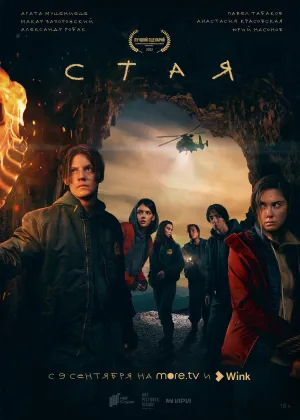 Постер сериала Стая (2022)