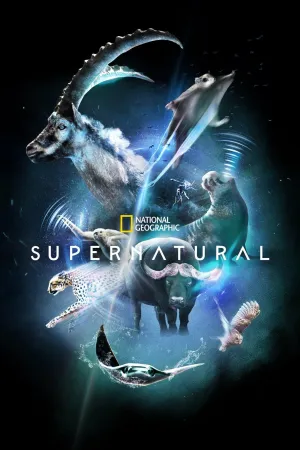 Постер сериала Сверх/Естественное