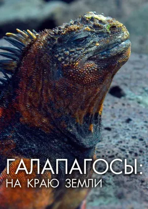 Постер сериала Галапагосы: На краю земли