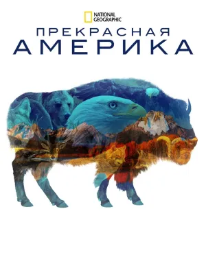 Постер сериала Прекрасная Америка