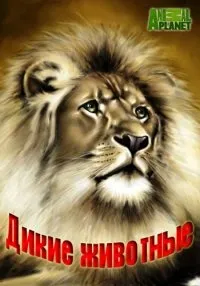 Постер сериала Animal Planet: Дикие животные