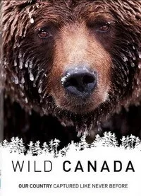 Постер сериала National Geographic: Дикая Канада
