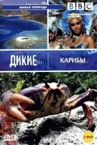 Постер сериала BBC: Дикие Карибы