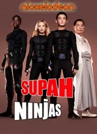 Постер сериала Супер-ниндзя