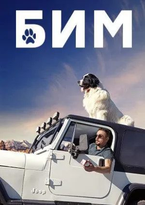 Постер сериала Бим, 2 сезон