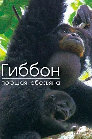 Постер сериала Гиббон — поющая обезьяна