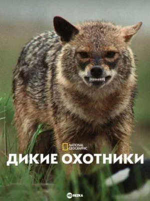 Постер сериала Дикие охотники