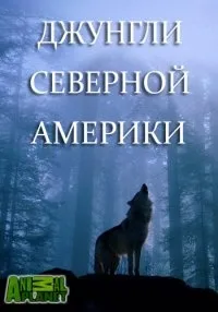 Постер сериала Animal Planet: Джунгли Северной Америки