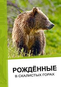 Постер сериала Рожденные в скалистых горах
