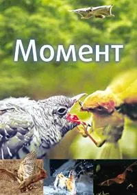 Постер сериала Момент