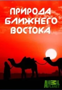 Постер сериала Animal Planet: Природа Ближнего Востока