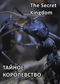 Постер сериала Тайное королевство
