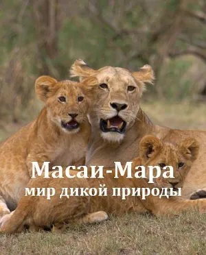 Постер сериала Масаи-Мара: мир дикой природы
