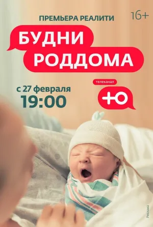 Постер сериала Будни роддома, 1 сезон