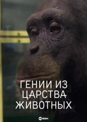 Постер сериала Гении из царства животных