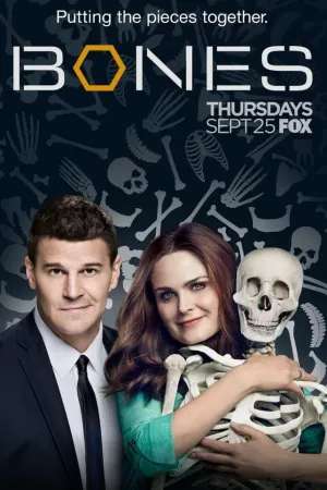 Постер сериала Кости, 4 сезон