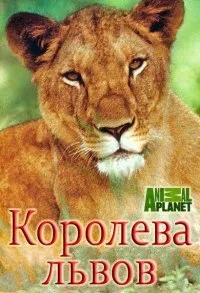 Постер сериала Королева львов