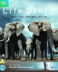 Постер сериала История жизни