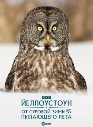 Постер сериала Йеллоустоун: От суровой зимы до пылающего лета