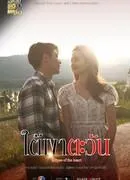Постер сериала Отражение солнца