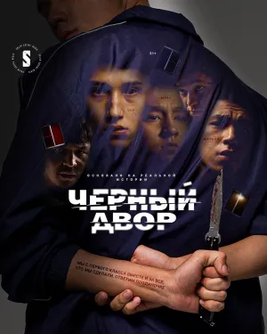 Постер сериала Черный двор