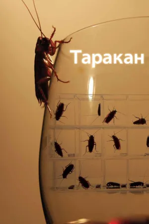 Постер сериала Таракан