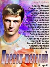 Постер сериала Цветок папоротника