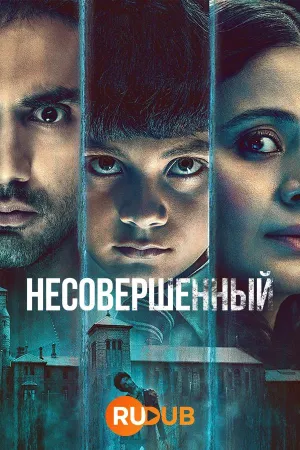 Постер сериала Несовершенный