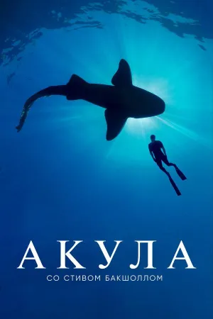 Постер сериала Акула со Стивом Бакшоллом