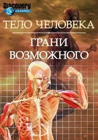 Постер сериала Тело человека. Грани возможного