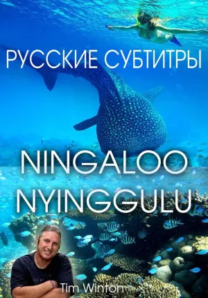 Постер сериала Нингалу