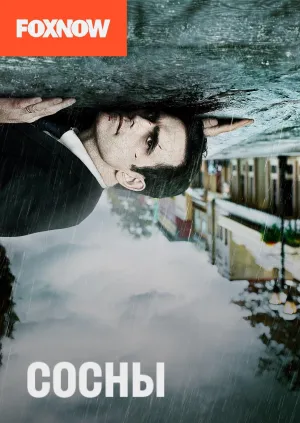 Постер сериала Уэйуорд Пайнс