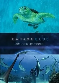 Постер сериала Голубые Багамы