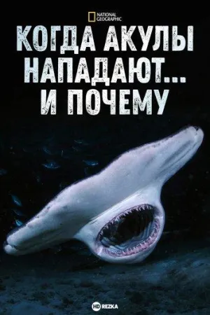 Постер сериала Когда акулы нападают... И почему