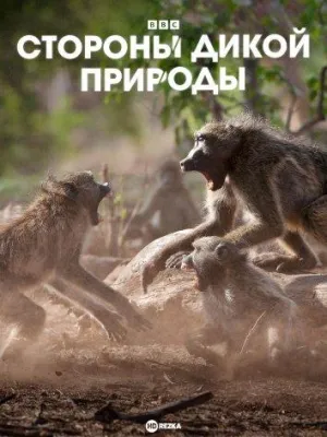 Постер сериала Стороны дикой природы