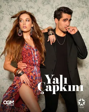 Постер сериала Зимородок, 2 сезон