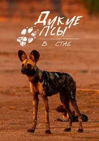 Постер сериала Дикие псы: в стае