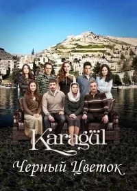 Постер сериала Черный цветок