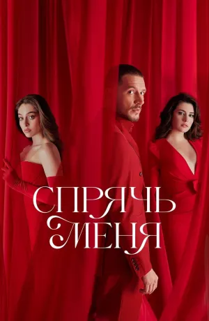 Постер сериала Спрячь меня