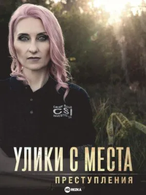 Постер сериала Улики с места преступления