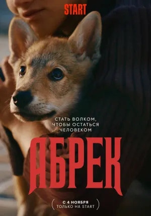 Постер сериала Абрек