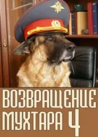 Постер сериала Возвращение Мухтара, 4 сезон