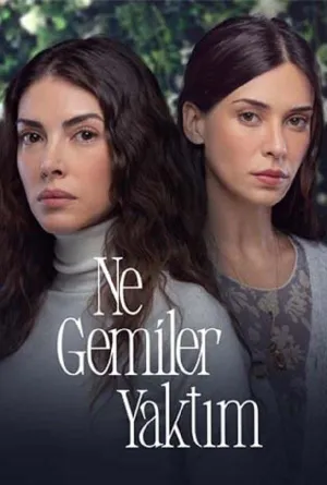 Постер сериала Какие корабли я сжег
